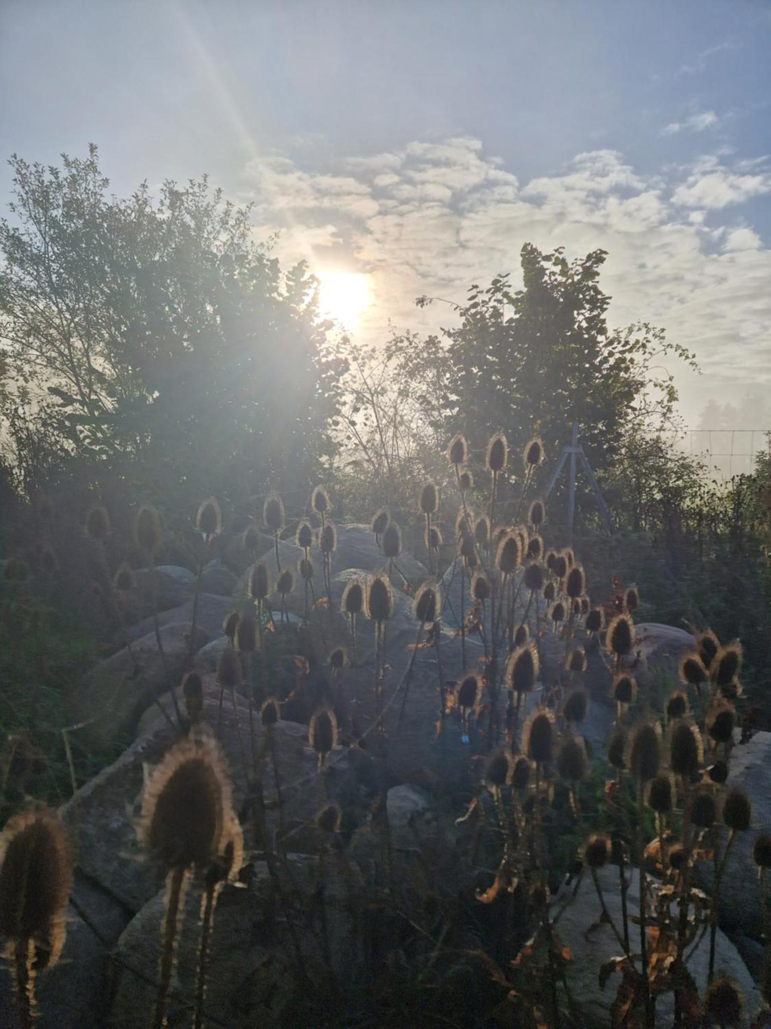 Maerchenhaft Urlauben Auf Dem Alpakahof Διαμέρισμα Rambow Εξωτερικό φωτογραφία